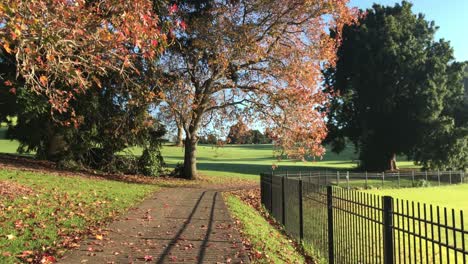 slow pan right of pathway bordered by a black metal fence at the park during autumn with bright orange , red and green colours of leaves during the daytime