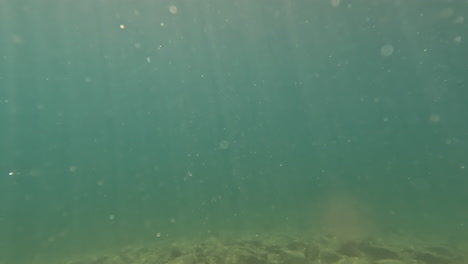 buceo pov en un lago de montaña