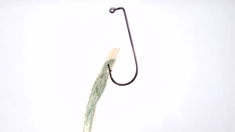 dollar on a fishing hook isolated on white background