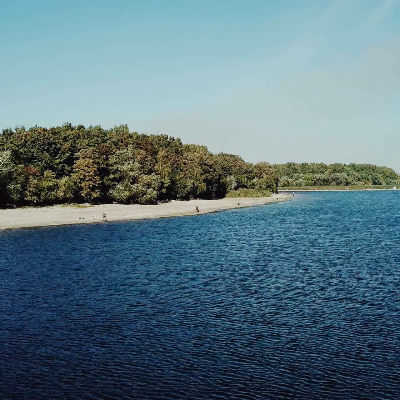 Blue and clear river with a sandy bank and forest in the summer time of the year with aerial view. Camera motion to forward. Wonderful nature.