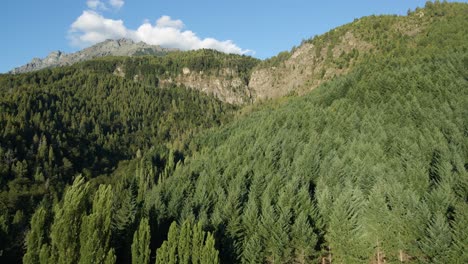 aerial dolly in over a pine tree forest with corbata blanca waterfall between mountains in background, patagonia argentina