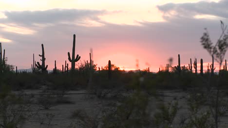 la noche cae en el desierto mientras el sol se hunde en el horizonte