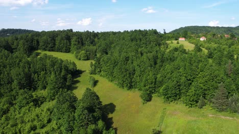 aerial view of green landscape of zlatibor mountain, serbia