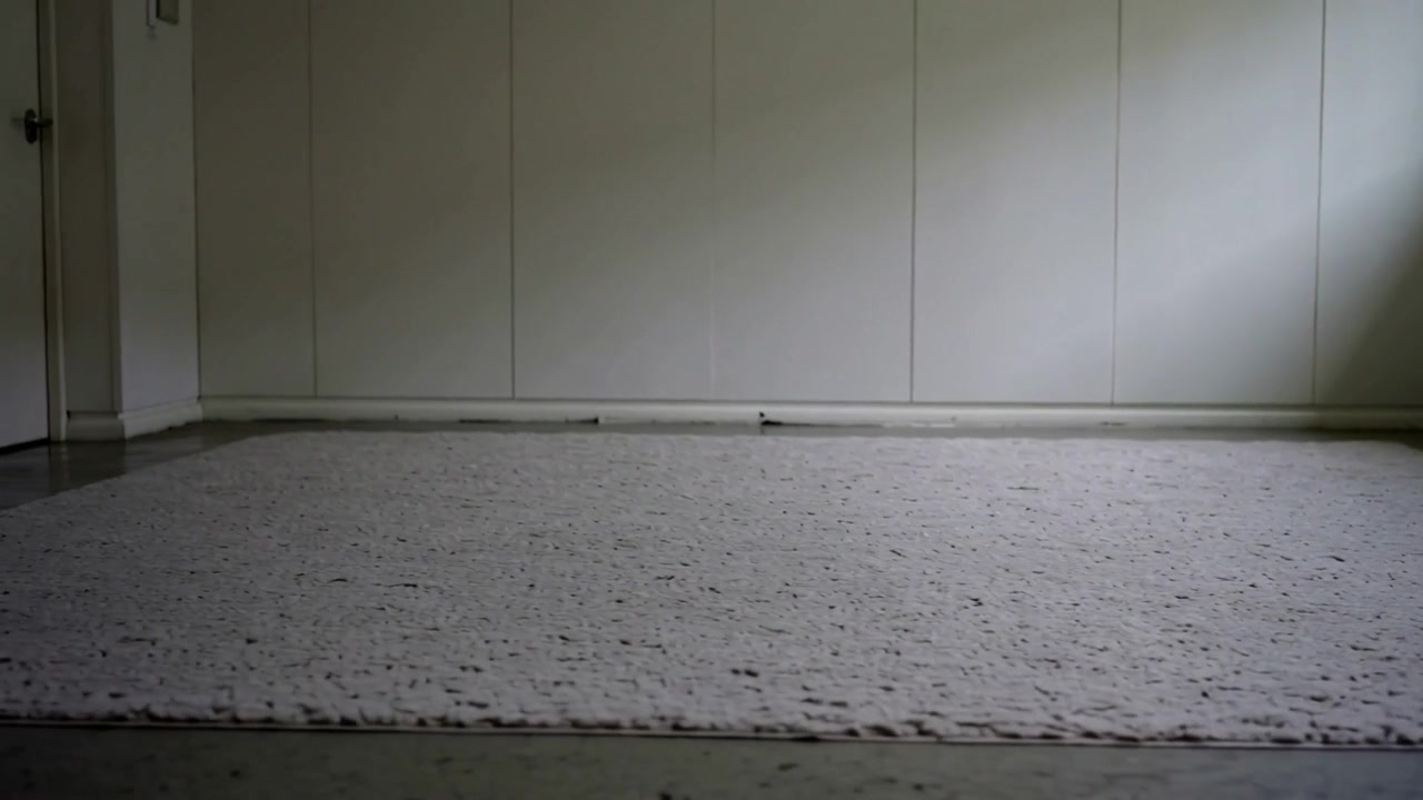 Pulling back camera revealing rectangular speckled rug in empty interior room, revealing more room