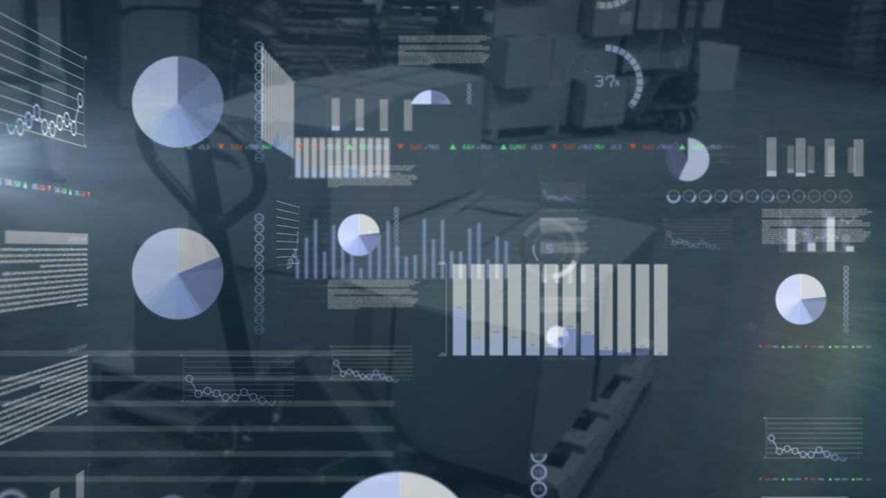 Animation of data processing over warehouse