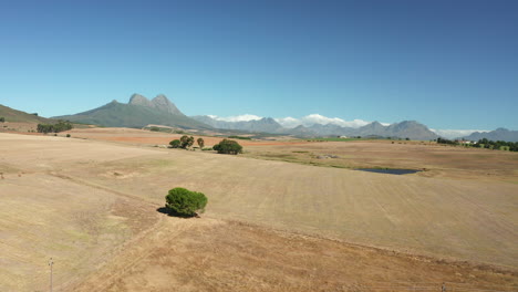 scenery of plains on simonsberg nature reserve near wine estate in stellenbosch, south africa