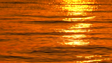 scenic closeup colorful sunset at the sea coast waves. good for loop background