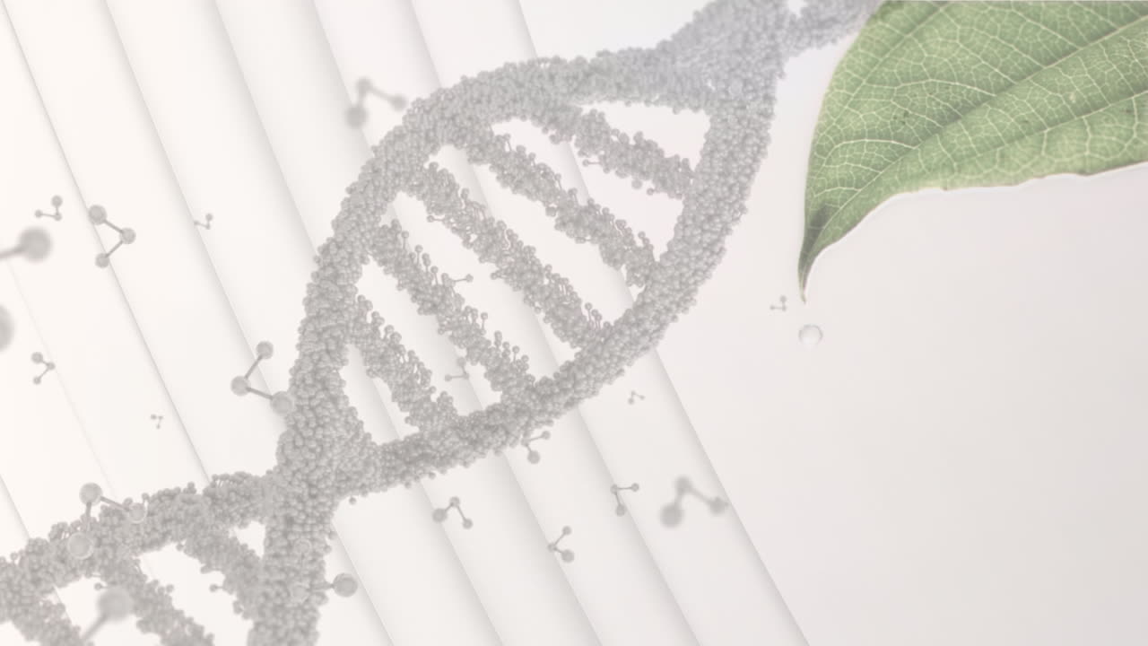 animación de moléculas y cadena de adn sobre hoja sobre fondo blanco