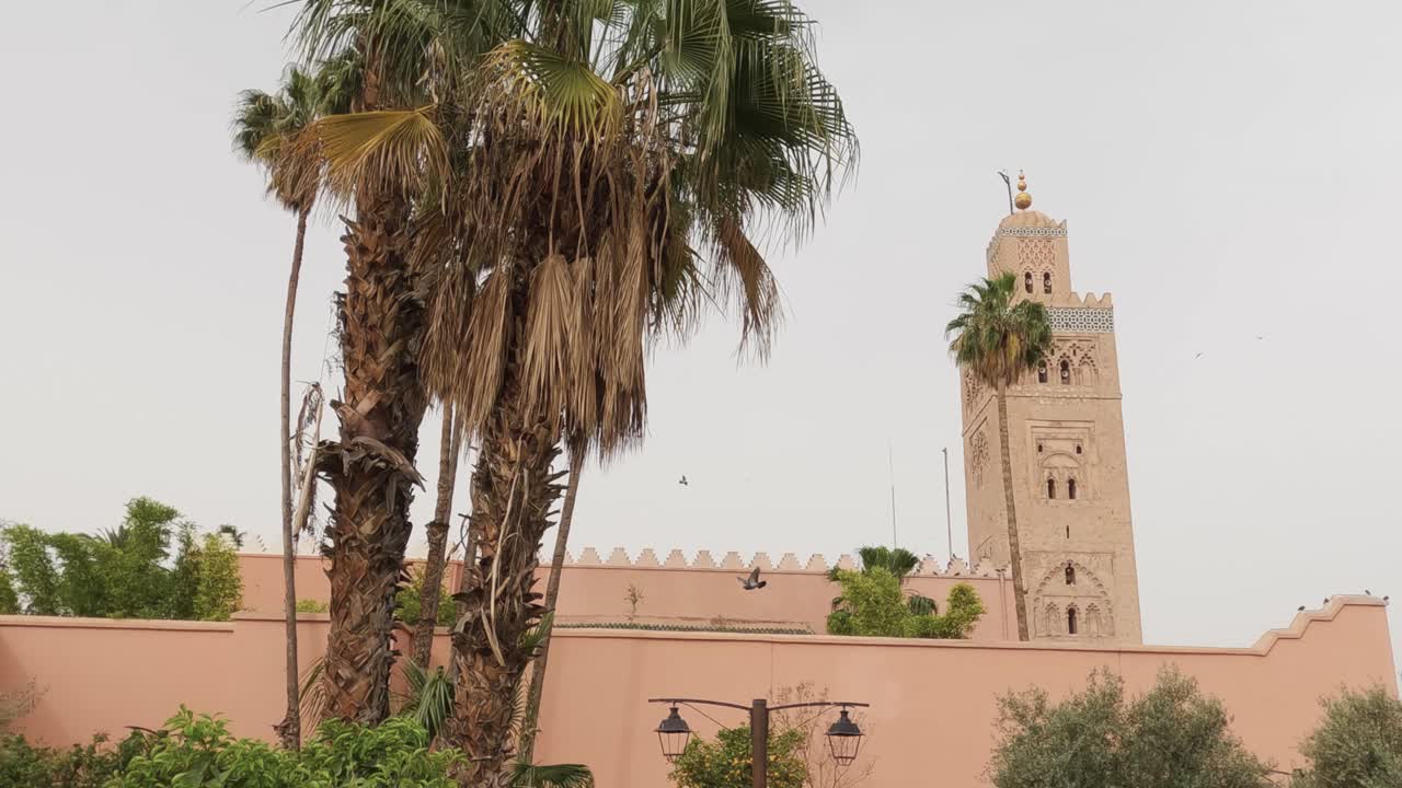 mezquita histórica de koutoubia con exuberantes palmeras marroquíes en el exterior impresionante punto de referencia musulmán exterior