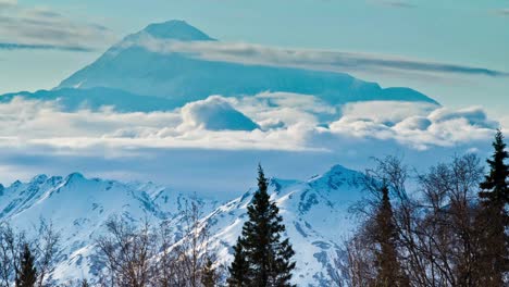 Denali-Im-Hintergrund-Mit-Bäumen