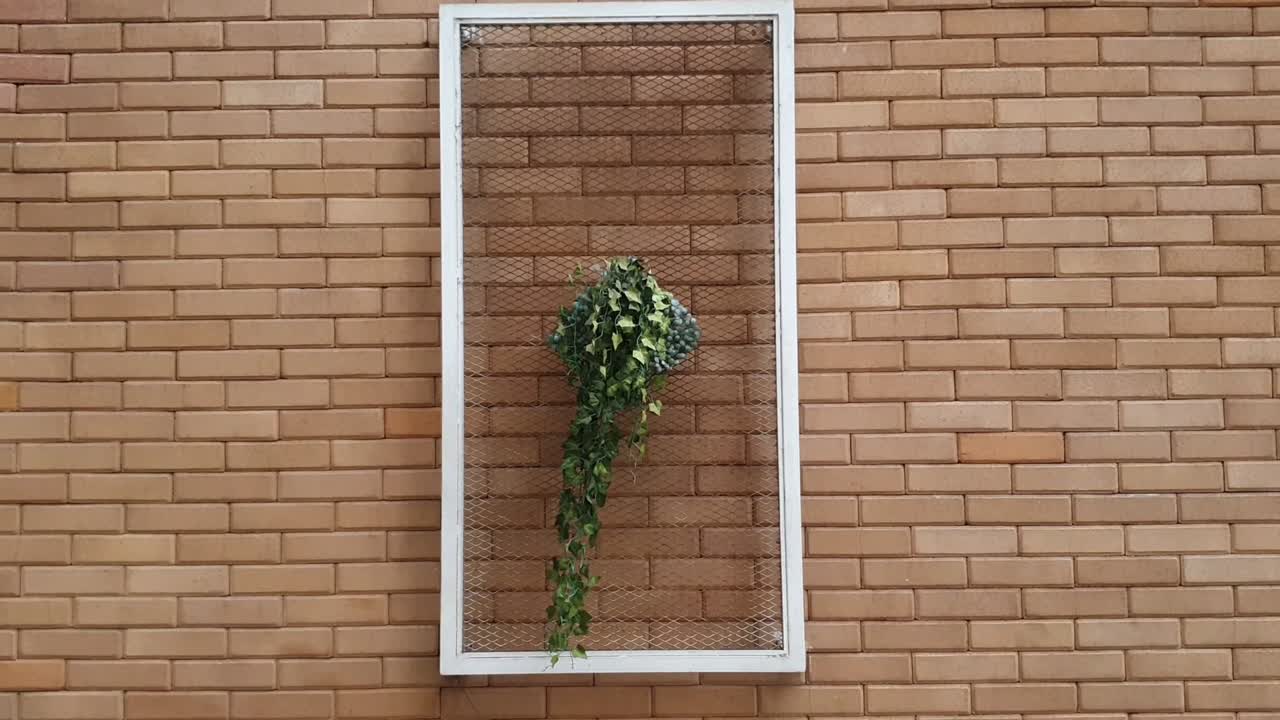 Brick and flower wall background video with copy space area. file 4