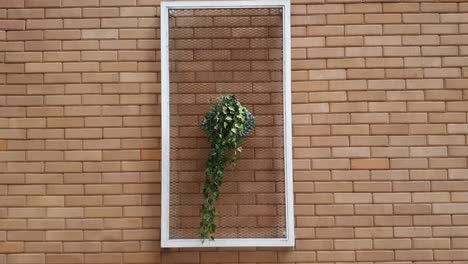 brick and flower wall background video with copy space area. file 4