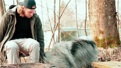 a fluffy gray wolf and a blond long-haired man sitting on a bench are in nature and take a little break