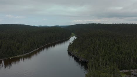 drone following a gorgeous bank in the wild forest