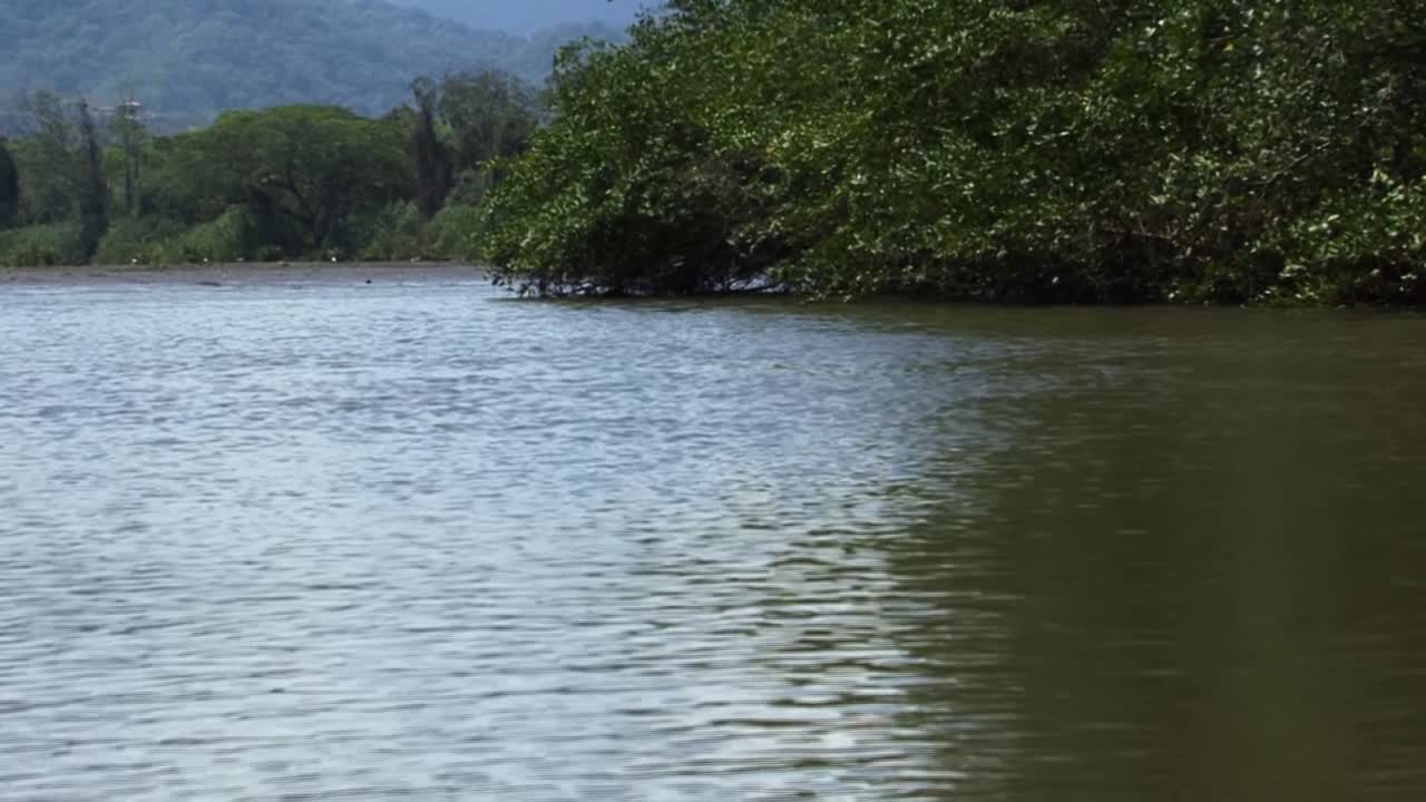 Fiume Tarcoles in Costa Rica