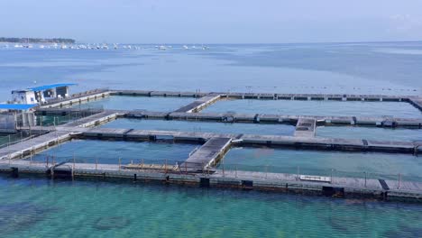 Marine-pools-of-dolphin-island-park-attraction-of-Punta-Cana-in-Dominican-Republic