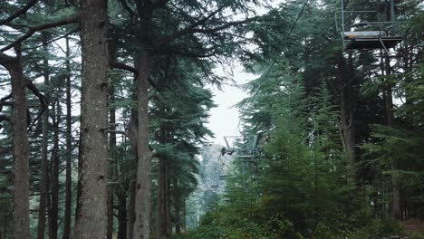 Drone-shot-Inside-the-forest,-showing-cedrus-trees-and-old-teleferik-cabin-,-in-chrea-national-park---algeria