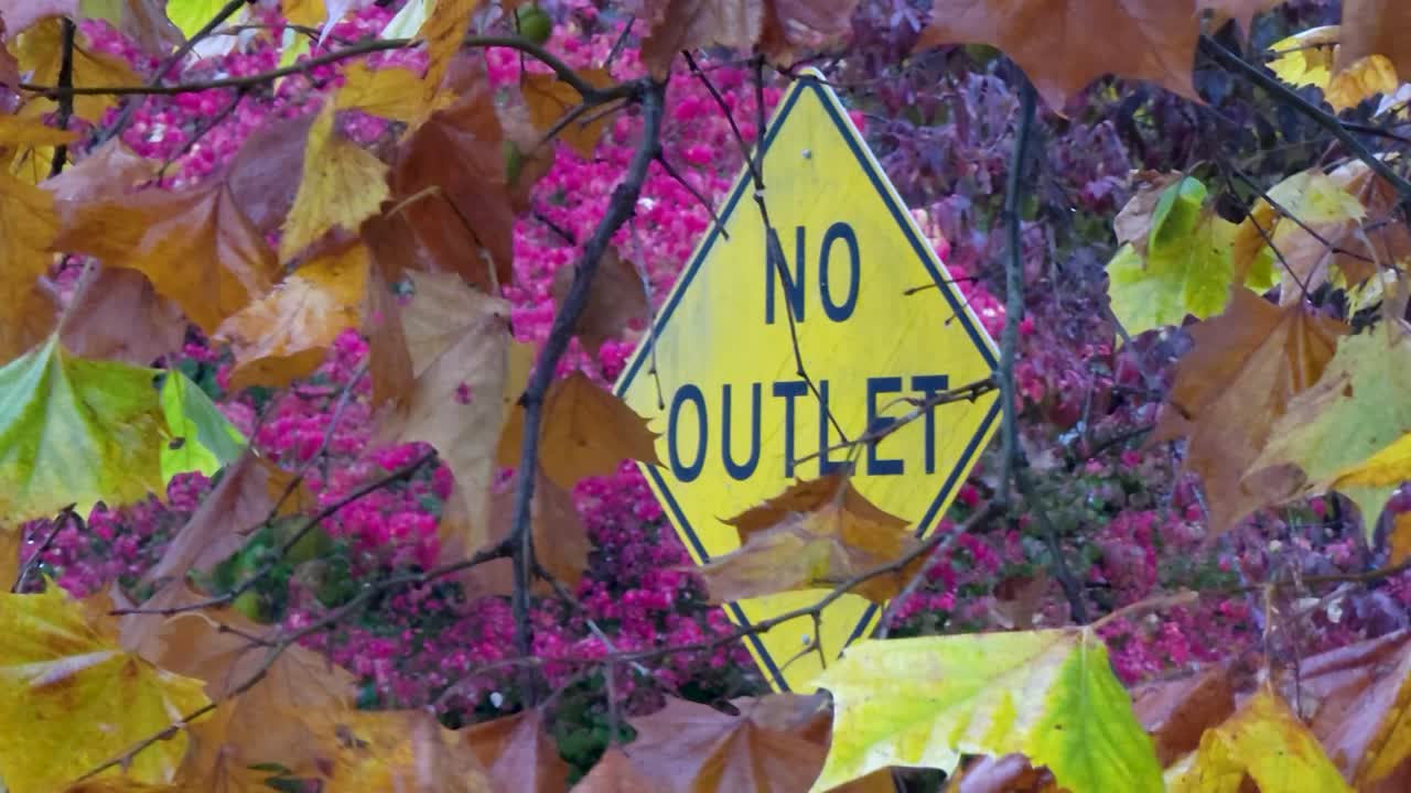 바람에 흔들리는 화려한 단풍의 클로즈업 샷, 백그라운드에서 노란색 기호