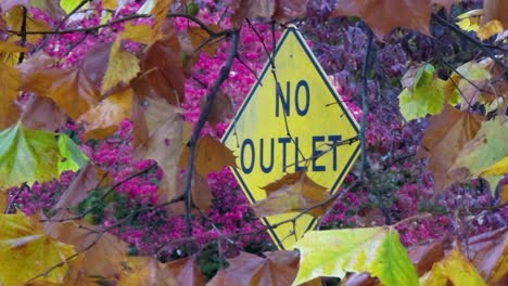 nahaufnahme von bunten herbstblättern, die im wind wehen, gelbes schild im hintergrund