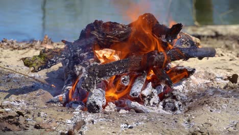 bonfire burning on the river bank, bright sunny day, beautiful nature, travel, hiking and camping concept