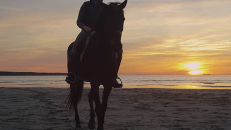 silhouette of rider on horse at beach in sunset light.