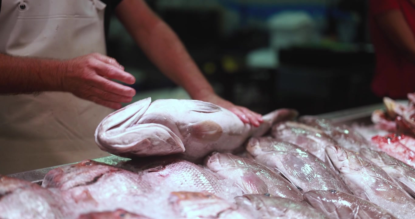 Fishmonger Arranging Fresh Fish on Ice at a Market