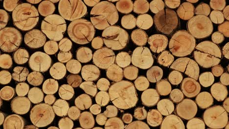 montones de leña, pilas de madera