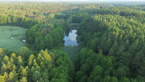 &quot;El-Dron-Sobre-El-Lago-Iluminado-Por-El-Amanecer-En-Europa-Captura-Una-Laguna-Tranquila,-Un-Bosque-Exuberante-Y-Estanques-Serenos