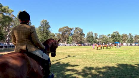 equestrian event with rider and spectators