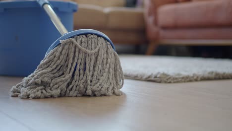 cleaning a wooden floor with a mop