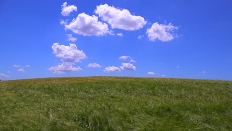 las nubes se deslizan detrás de hermosos y vastos campos abiertos de grano ondulante 1