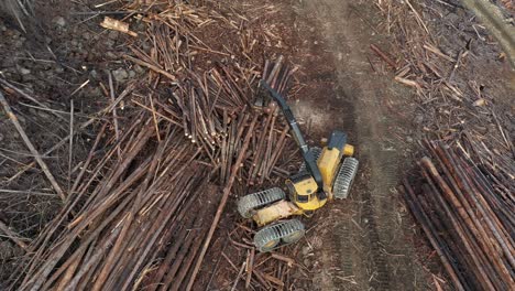 yellow harvester processing timber in british columbia