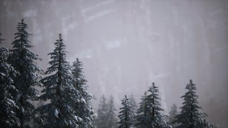 Winterschnee-Bedeckte-Kegelbäume-Am-Berghang