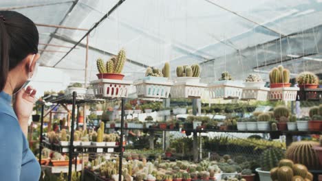 young girl selecting from wide varieties of cactus plants, at cactus nursery