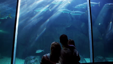 happy family looking at fish