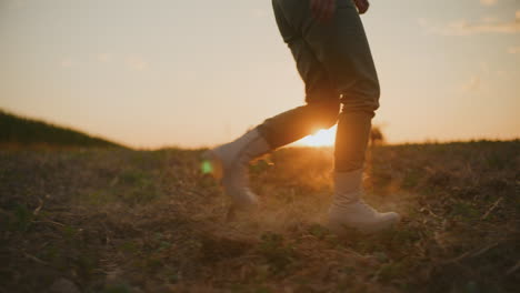 caminando hacia la puesta de sol: un viaje pacífico a través del campo