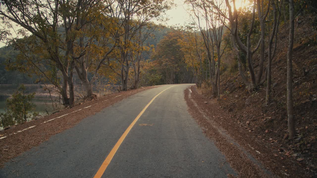 Forest Road Winding Through Autumn Trees
