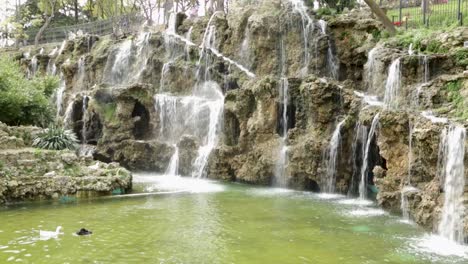 Industrielle-Wasserfälle-In-Einem-öffentlichen-Park-Und-Verschiedene-Vögel-Schwimmen-Darin