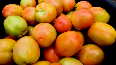 un montón de deliciosos tomates rojos y naranjas orgánicos recién recogidos del jardín y listos para el mercado, cerrados