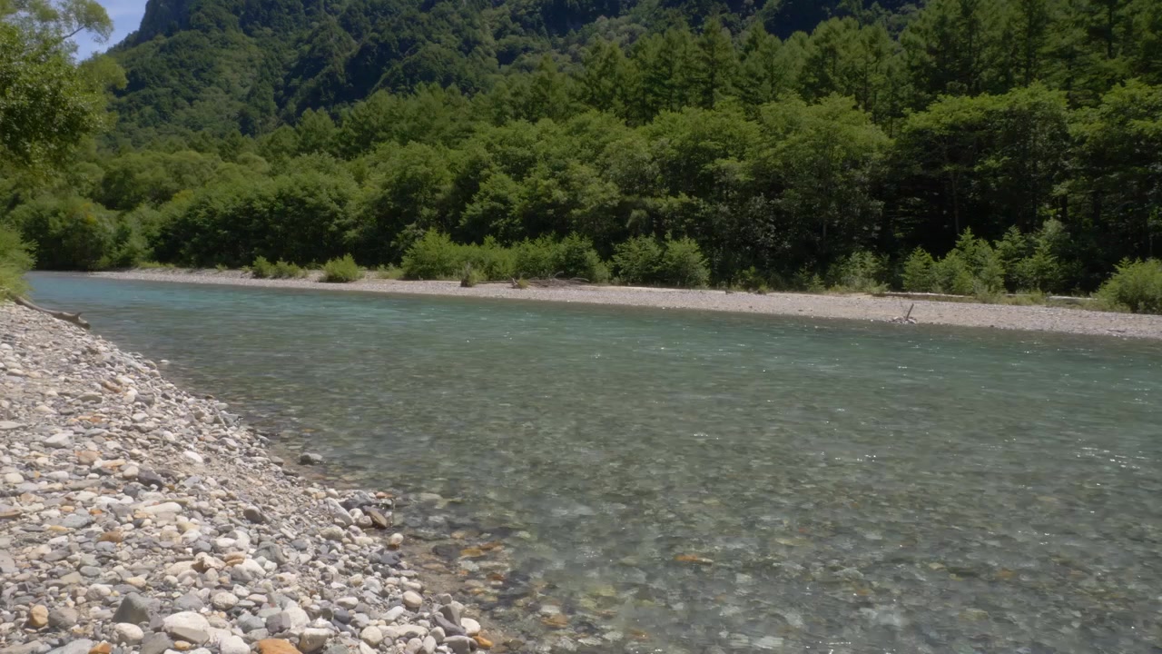 Fiume Azusa con acqua limpida che scorre attraverso una vegetazione lussureggiante a Kamikochi, Nagano, Giappone. Primo piano, campo lungo