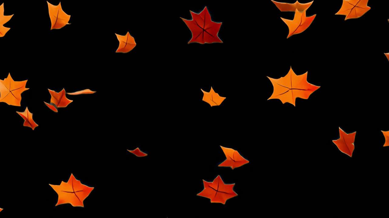 Autumn leaves gently falling animated overlay, transparent 4K video, alpha channel, ProRes 4444