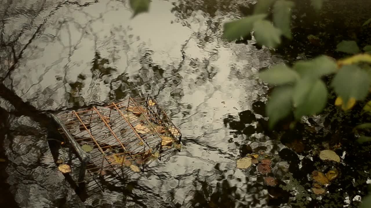 basura arrojada en el arroyo del campo británico
