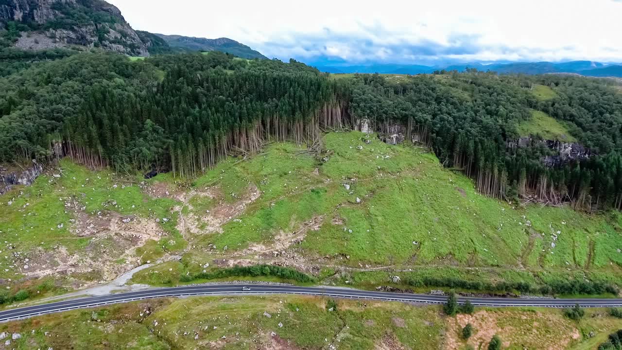 노르웨이 의 산림 벌채