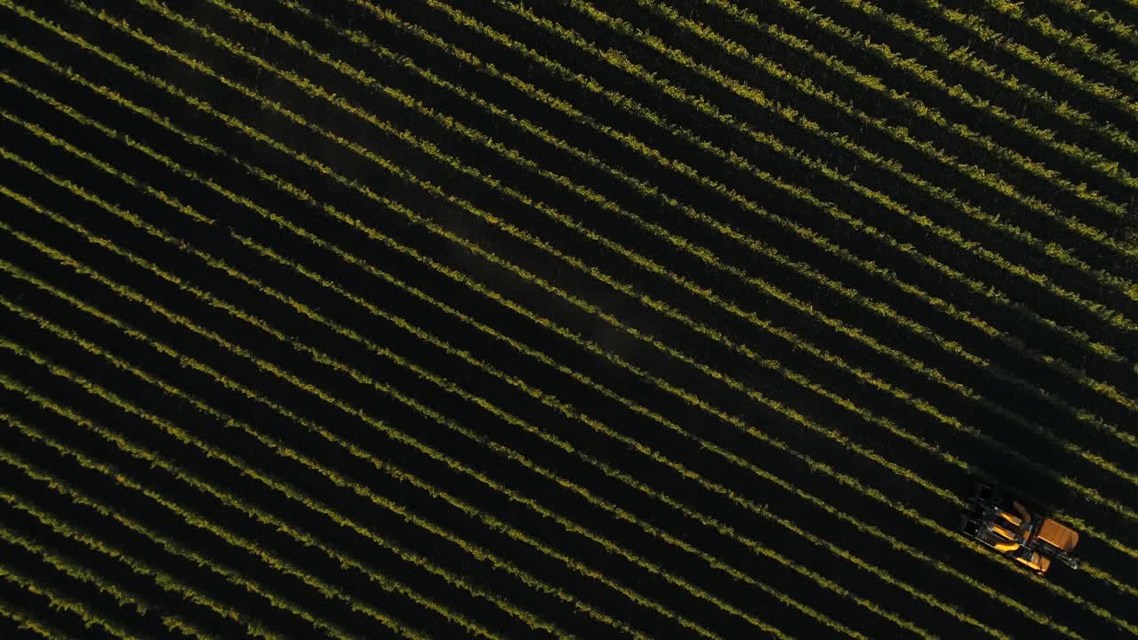 yellow vineyard vine trimmer moving out of frame with an over head shot in napa valley