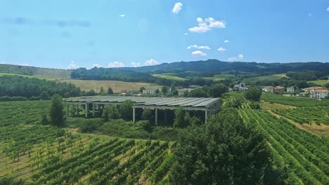 scenic views of vineyards and rural landscapes