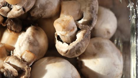 close up of fresh white mushrooms