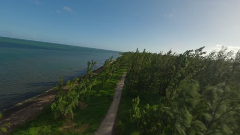 Drone-flying-through-the-trees-next-to-the-Le-Morne-lagoon