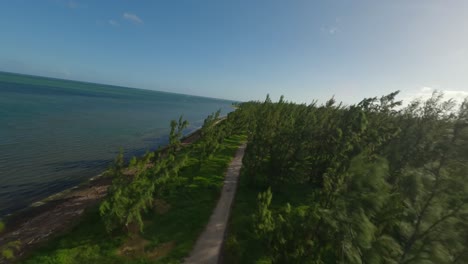 drone volando a través de los árboles al lado de la laguna de le morne
