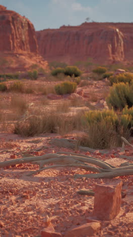 desert landscape with red rock canyon