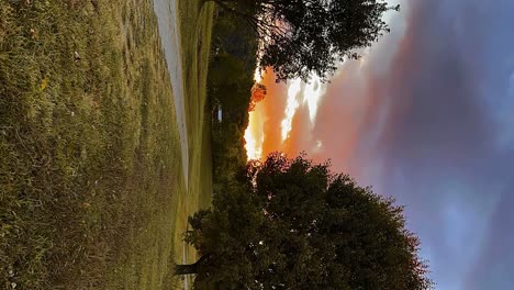 lapso de tiempo de la hermosa puesta de sol de kentucky, con un patio trasero de hierba verde con grandes árboles frondosos - vertical